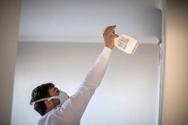 Best Commercial Mold Removal  in Cuthbert, GA