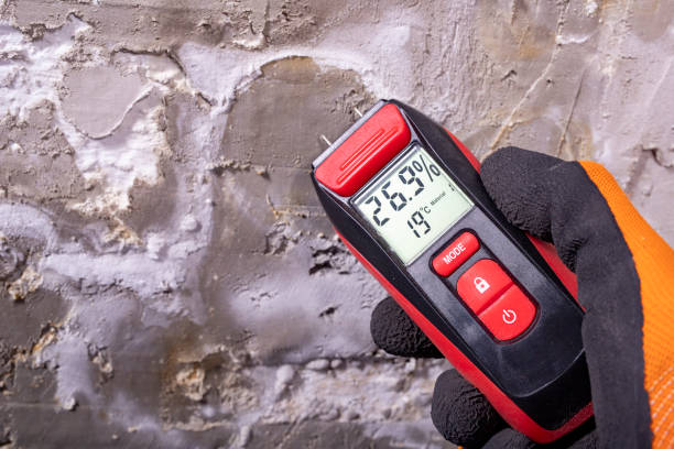 Best Mold Cleaning Services  in Cuthbert, GA