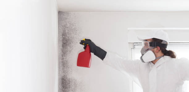 Water Damage Restoration in Cuthbert, GA