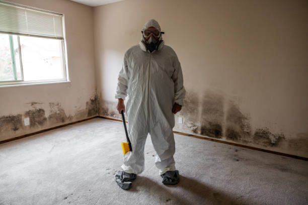 Best Office Mold Removal Services  in Cuthbert, GA